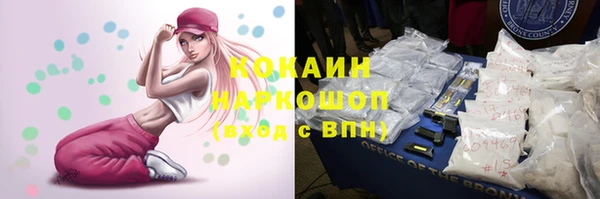 ешки Бронницы