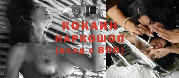 ешки Бронницы