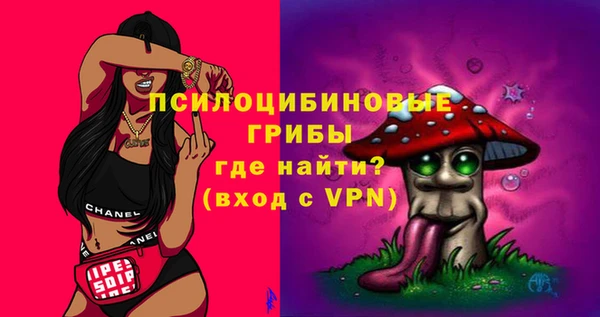 мдма Бородино